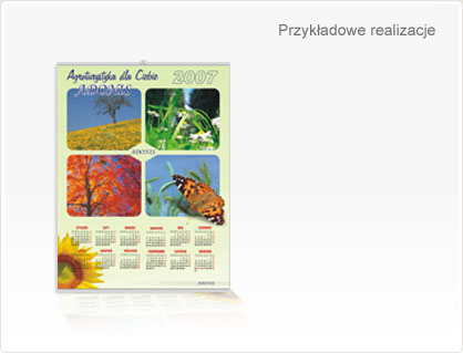 Przykładowe realizacje
